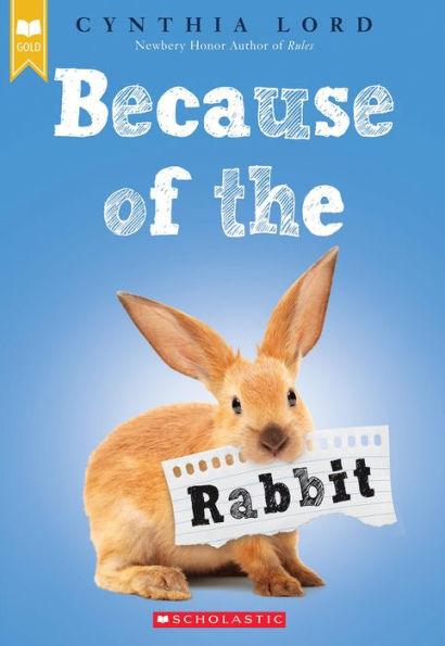 Because of the Rabbit (Scholastic Gold) - Paperback | Diverse Reads