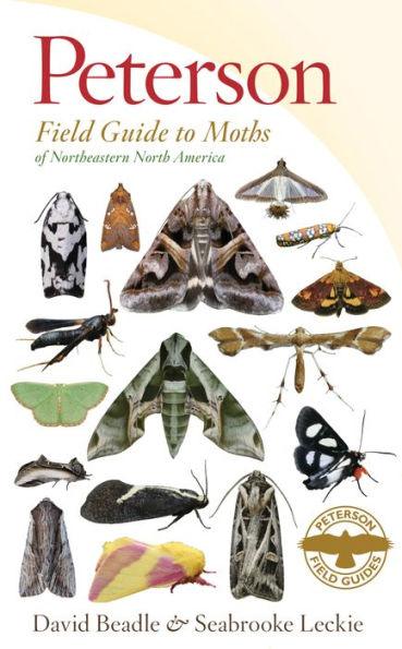 Peterson Field Guide To Moths Of Northeastern North America - Paperback | Diverse Reads