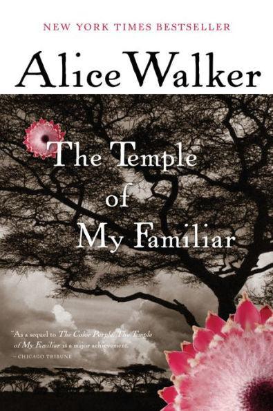 The Temple of My Familiar -  | Diverse Reads