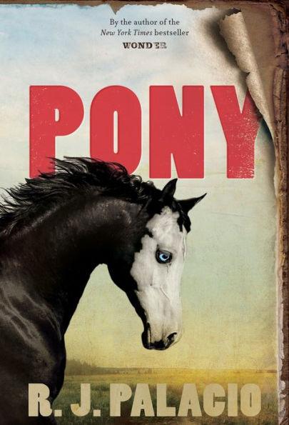 Pony - Library Binding | Diverse Reads