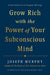Grow Rich with the Power of Your Subconscious Mind - Hardcover | Diverse Reads