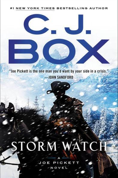 Storm Watch (Joe Pickett Series #23) - Hardcover | Diverse Reads