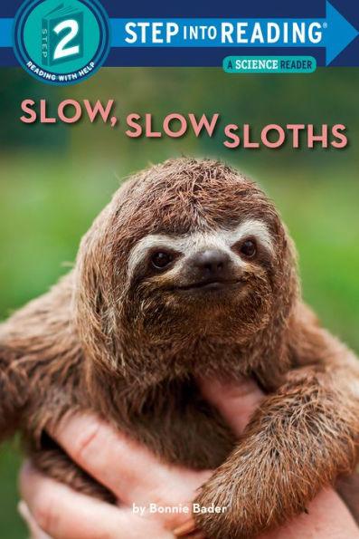 Slow, Slow Sloths - Paperback | Diverse Reads