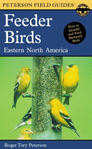 A Peterson Field Guide To Feeder Birds: Eastern and Central North America - Paperback | Diverse Reads
