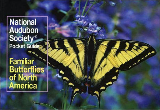 National Audubon Society Pocket Guide: Familiar Butterflies of North America - Paperback | Diverse Reads