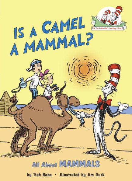Is a Camel a Mammal?: All About Mammals - Hardcover | Diverse Reads