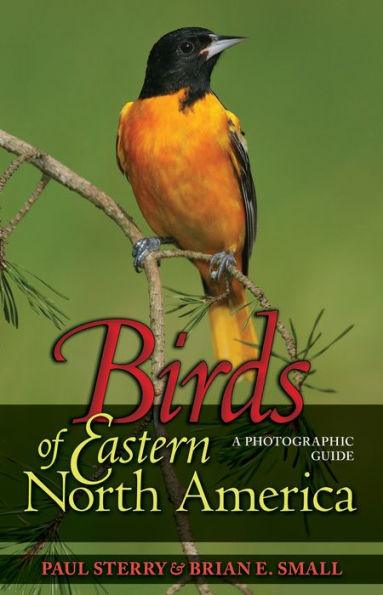 Birds of Eastern North America: A Photographic Guide - Paperback | Diverse Reads