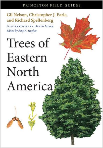 Trees of Eastern North America - Paperback | Diverse Reads