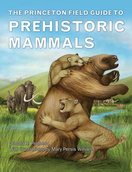 The Princeton Field Guide to Prehistoric Mammals - Hardcover | Diverse Reads