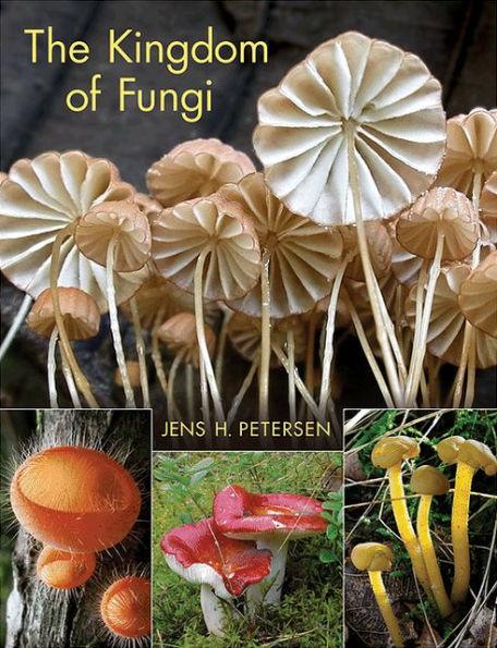 The Kingdom of Fungi - Hardcover | Diverse Reads