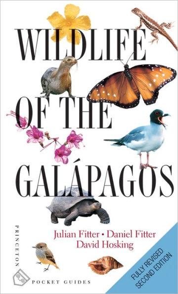 Wildlife of the Galápagos: Second Edition - Paperback | Diverse Reads