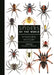 Spiders of the World: A Natural History - Hardcover | Diverse Reads