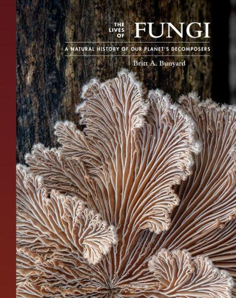 The Lives of Fungi: A Natural History of Our Planet's Decomposers - Hardcover | Diverse Reads