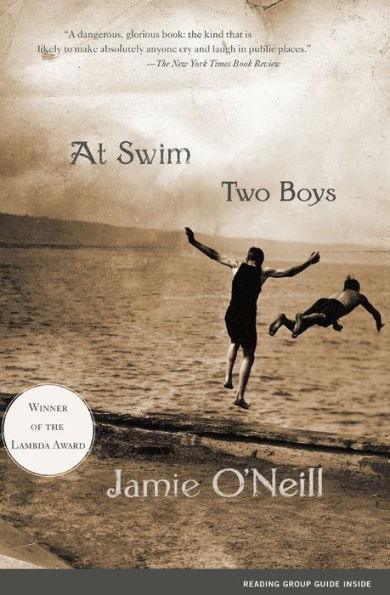 At Swim, Two Boys: A Novel - Diverse Reads