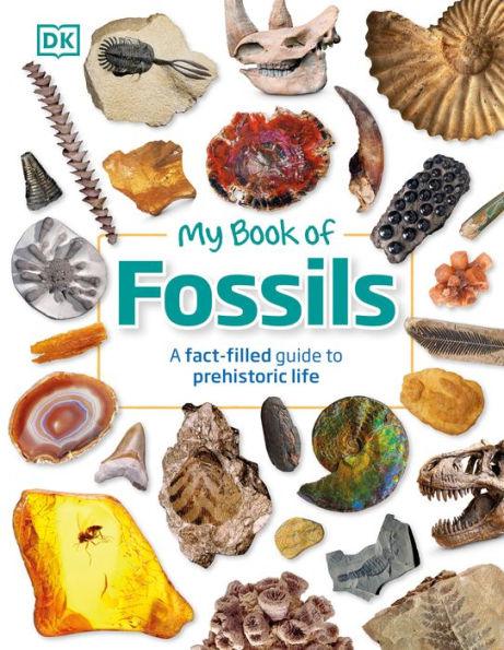 My Book of Fossils: A fact-filled guide to prehistoric life - Hardcover | Diverse Reads