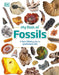 My Book of Fossils: A fact-filled guide to prehistoric life - Hardcover | Diverse Reads