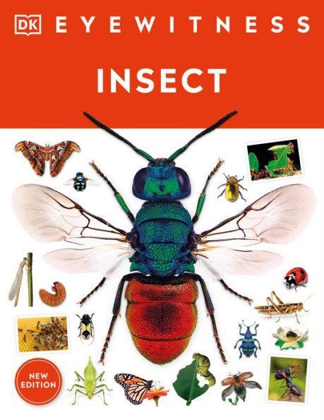 Insect - Paperback | Diverse Reads