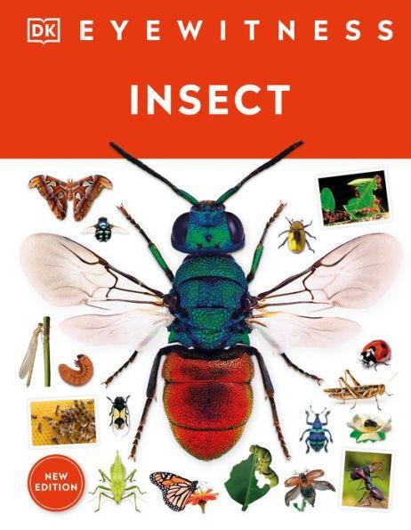 Insect - Hardcover | Diverse Reads