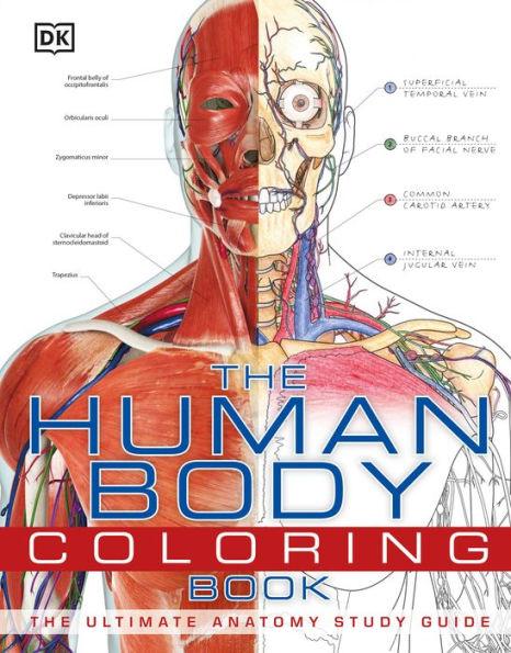 The Human Body Coloring Book: The Ultimate Anatomy Study Guide - Paperback | Diverse Reads