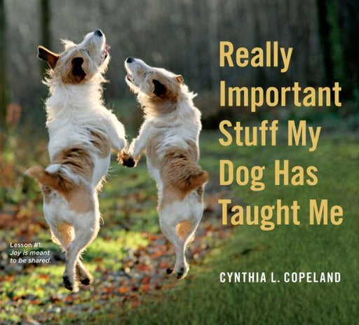 Really Important Stuff My Dog Has Taught Me - Paperback | Diverse Reads