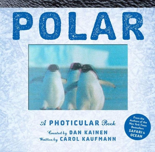 Polar: A Photicular Book - Hardcover | Diverse Reads