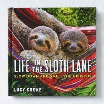 Life in the Sloth Lane: Slow Down and Smell the Hibiscus - Hardcover | Diverse Reads