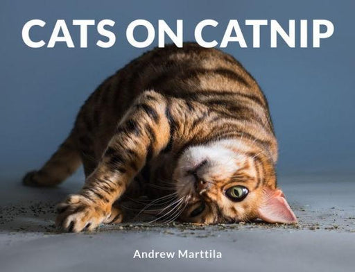 Cats on Catnip - Hardcover | Diverse Reads