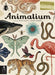 Animalium (Welcome to the Museum Series) - Hardcover | Diverse Reads