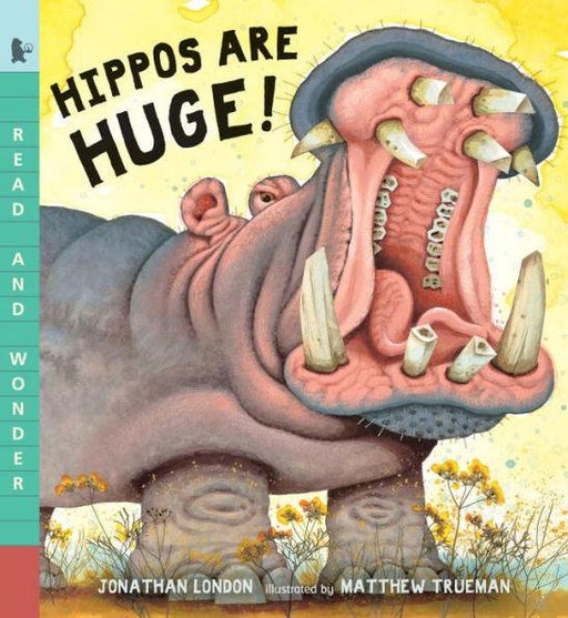 Hippos Are Huge! - Paperback | Diverse Reads