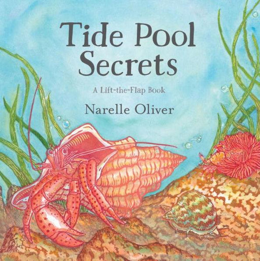 Tide Pool Secrets - Hardcover | Diverse Reads
