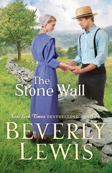 The Stone Wall - Paperback | Diverse Reads