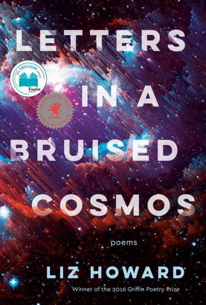 Letters in a Bruised Cosmos - Paperback | Diverse Reads