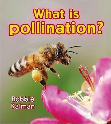 What Is Pollination? - Paperback | Diverse Reads