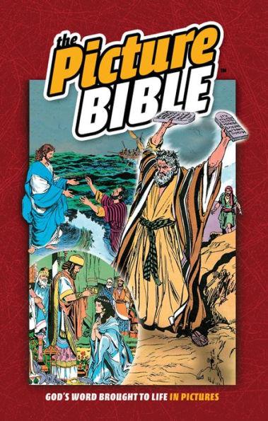 The Picture Bible - Hardcover | Diverse Reads
