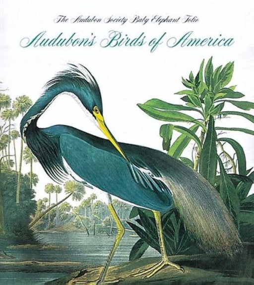 Audubon's Birds of America: The National Audubon Society Baby Elephant Folio (Tiny Folio) - Hardcover | Diverse Reads