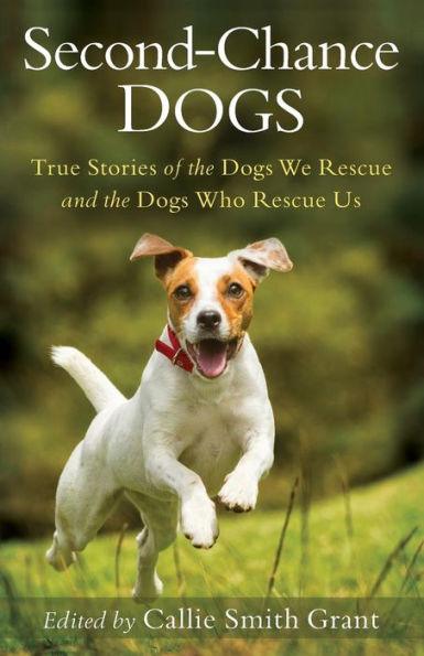 Second-Chance Dogs: True Stories of the Dogs We Rescue and the Dogs Who Rescue Us - Paperback | Diverse Reads