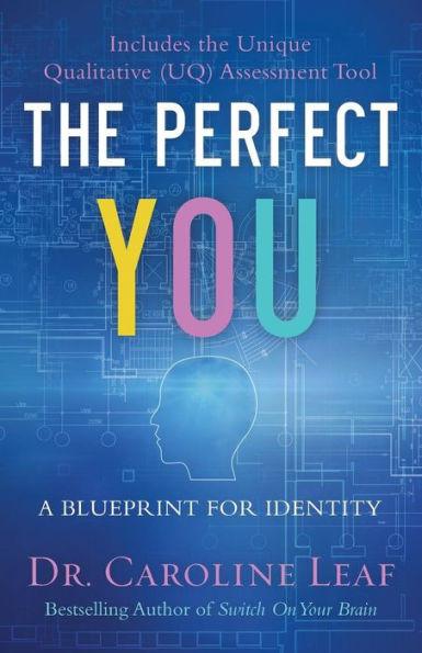 The Perfect You: A Blueprint for Identity - Paperback | Diverse Reads