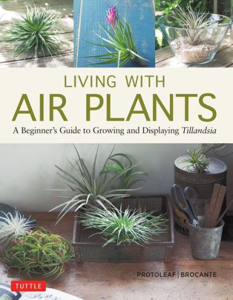 Living with Air Plants: A Beginner's Guide to Growing and Displaying Tillandsia - Hardcover | Diverse Reads