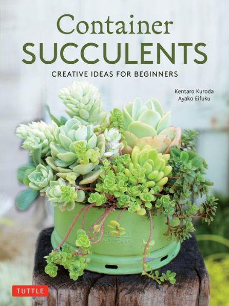 Container Succulents: Creative Ideas for Beginners - Paperback | Diverse Reads