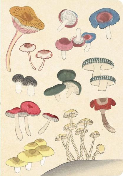 Healing Mushrooms Lined Paperback Journal: Blank Notebook with Pocket - Paperback | Diverse Reads