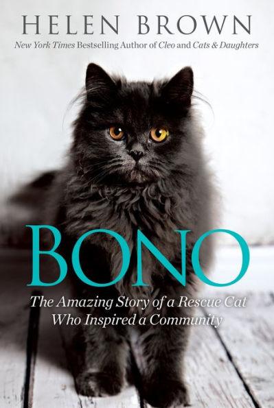 Bono: The Amazing Story of a Rescue Cat Who Inspired a Community - Paperback | Diverse Reads