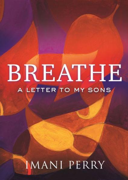 Breathe: A Letter to My Sons - Hardcover | Diverse Reads