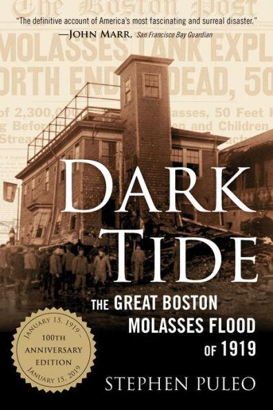 Dark Tide: The Great Boston Molasses Flood of 1919 - Paperback | Diverse Reads