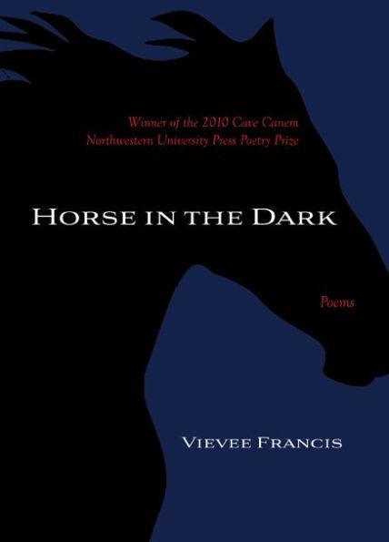 Horse in the Dark - Paperback | Diverse Reads