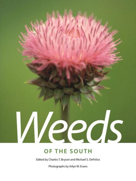 Weeds of the South - Paperback | Diverse Reads