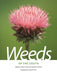 Weeds of the South - Paperback | Diverse Reads