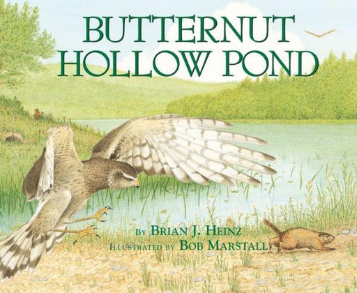Butternut Hollow Pond - Paperback | Diverse Reads