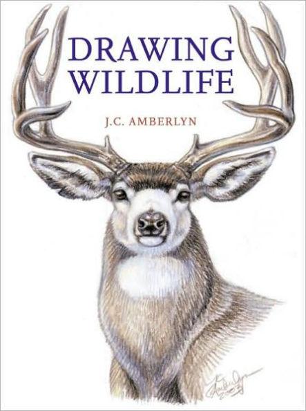 Drawing Wildlife - Paperback | Diverse Reads