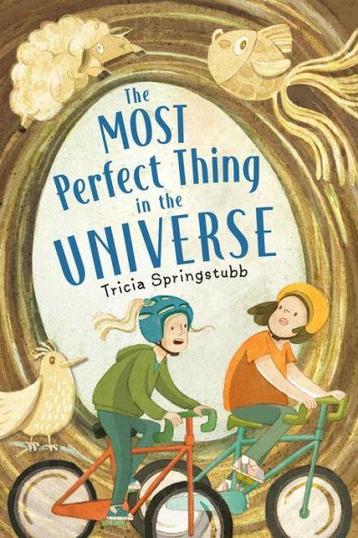 The Most Perfect Thing in the Universe - Paperback | Diverse Reads