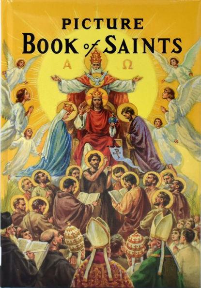 New Picture Book of Saints: Illustrated Lives of the Saints for Young and Old - Hardcover | Diverse Reads